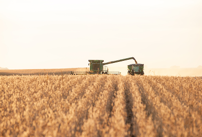 A front-on picture of a combine and grain cart harvesting